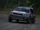 Assetto Corsa Rally - Imagen PC