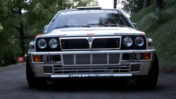 Assetto Corsa Rally