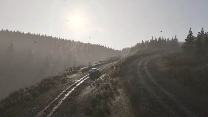 Assetto Corsa Rally
