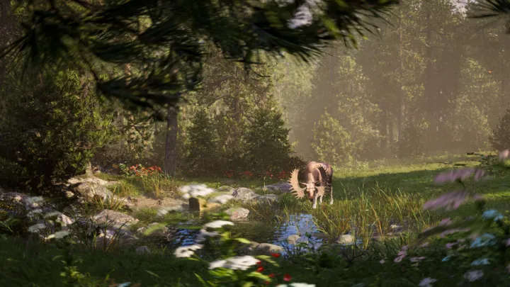 Next Hunting Adventure - PC