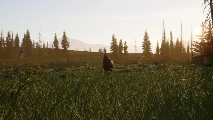 Next Hunting Adventure