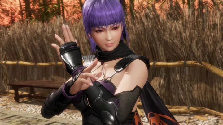 Dead or Alive 6 Last Round - PC