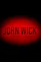 John Wick (Saber Interactive)
