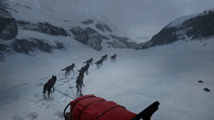 WILL Follow The Light