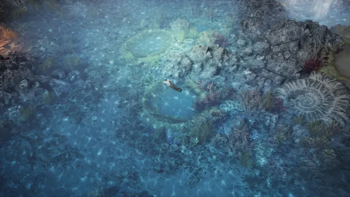 Embers of the Uncrowned