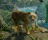 Planet Zoo 2