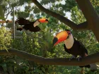 Planet Zoo 2 - Imagen