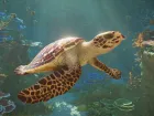 Planet Zoo 2 - Pantalla