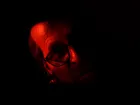 Until Dawn II