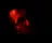 Until Dawn II