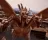 Godzilla: Destroy All Monsters Melee Remastered
