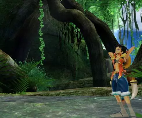 One Piece Unlimited Adventure - Wii