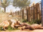 Arizona Sunshine (2026) - Imagen