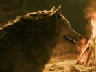 Stray Dog: nobody cares