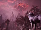Stray Dog nobody cares 