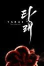 TARAE: The Unbound PC