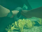 Stranded Deep 2