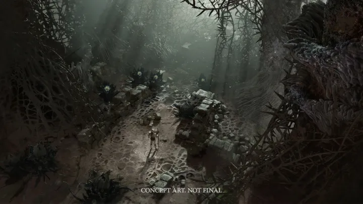 Diablo V