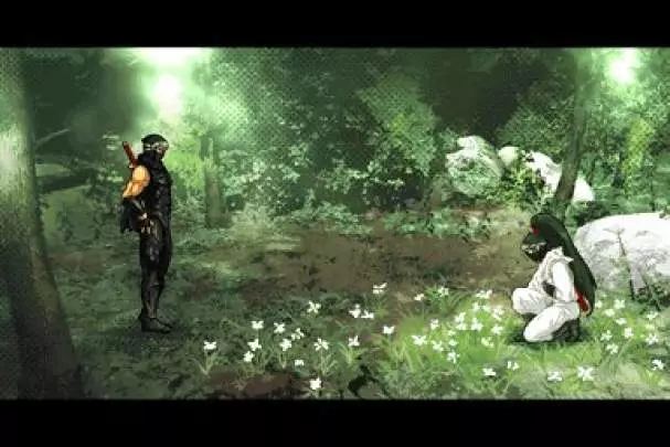 Ninja Gaiden DS - DS