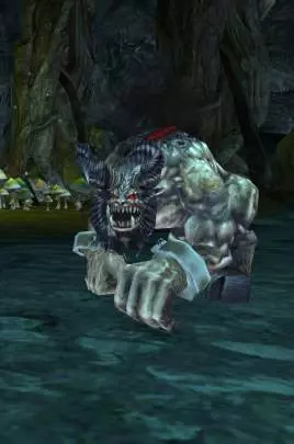 HMM V Tribes of The East