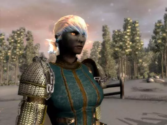 Neverwinter Nights 2: Mask of the Betrayer