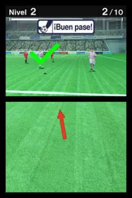 Training For Your Eyes