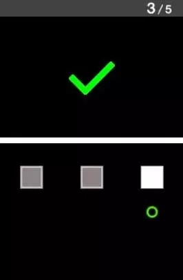 Training For Your Eyes - DS