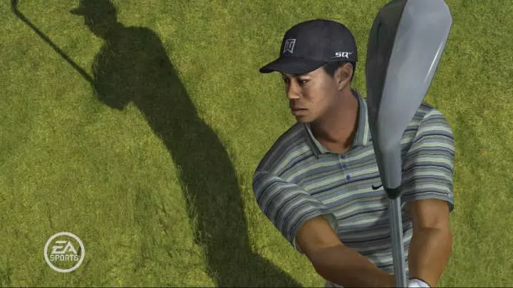 Tiger Woods 08