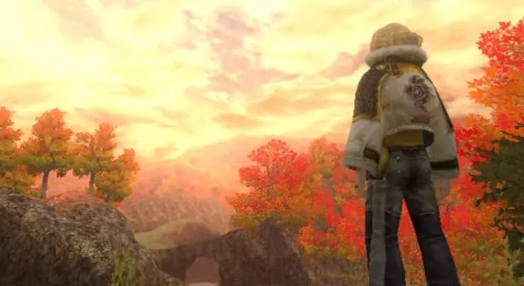 FFCC The Crystal Bearers - Wii