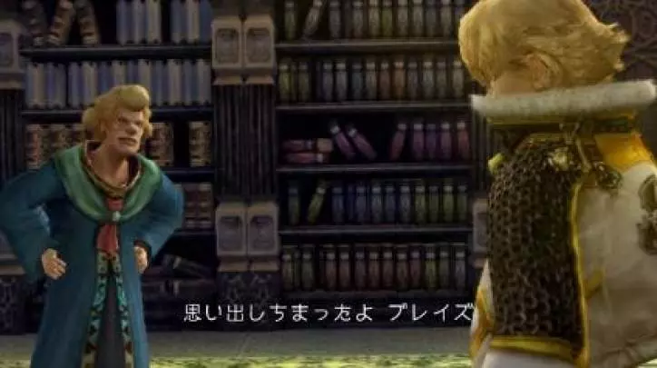 FFCC The Crystal Bearers - Wii