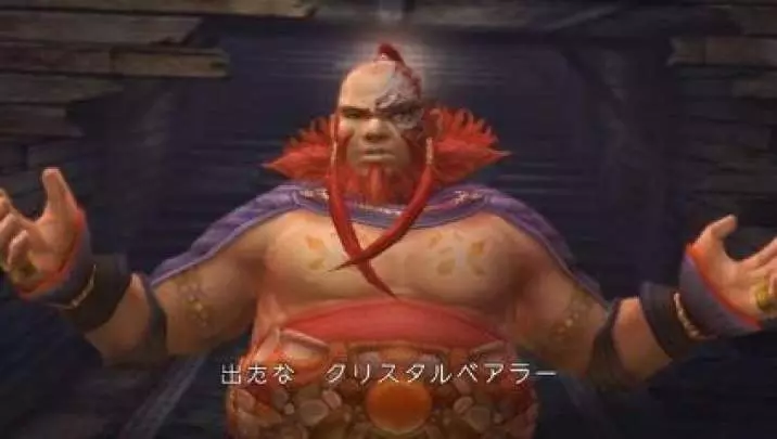 FFCC The Crystal Bearers - Wii