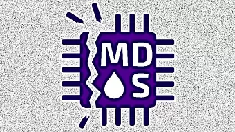 AMD confirma que sus procesadores no presentan vulnerabilidades