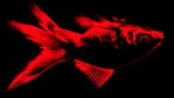 The White Stripes: Aparecer en juegos musicales para promocionarte es "triste"