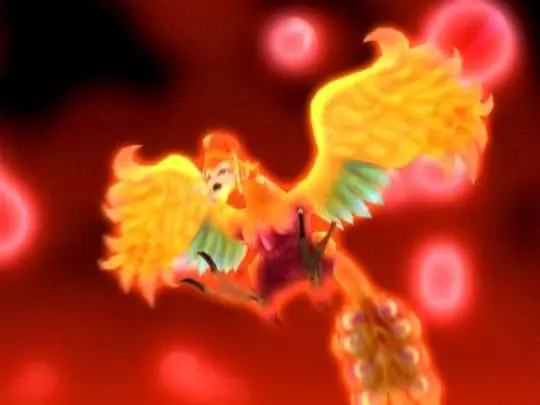 Chocobo's Dungeon - Wii