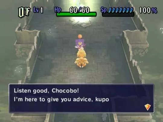 Chocobo's Dungeon - Wii