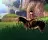Horsez 2