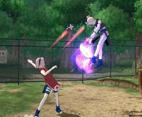 Naruto Clash of Ninja Revolution