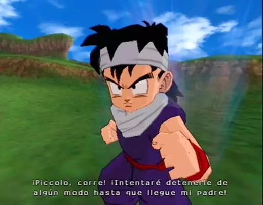 DBZ Budokai Tenkaichi 3