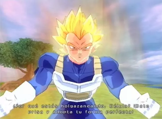 DBZ Budokai Tenkaichi 3