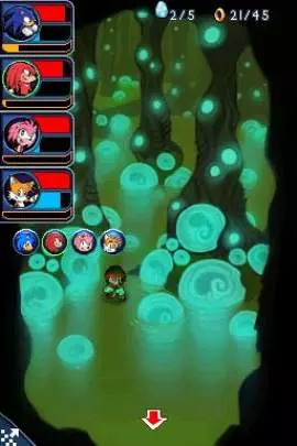 Sonic Chronicles - DS