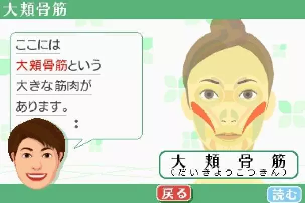 Face Training - DS