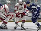 NHL 2K8