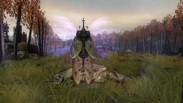 Las Crónicas de Spiderwick - Wii