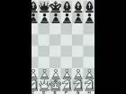 Chessmaster - Pantalla