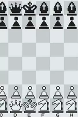 Chessmaster - DS