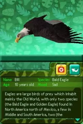 Mi clínica veterinaria en el Zoo