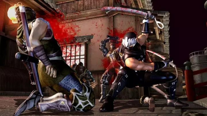 Ninja Gaiden 2
