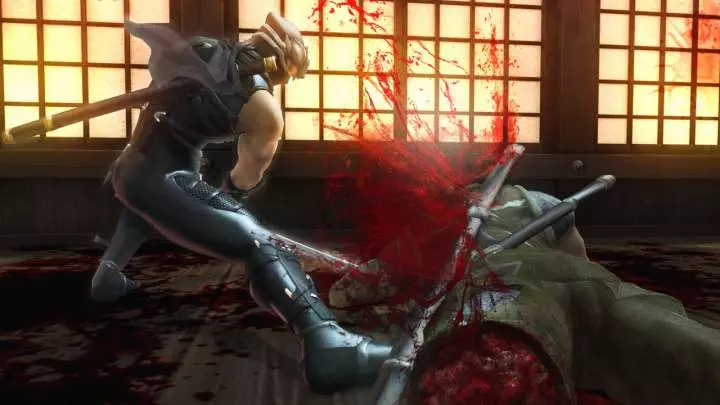 Ninja Gaiden 2