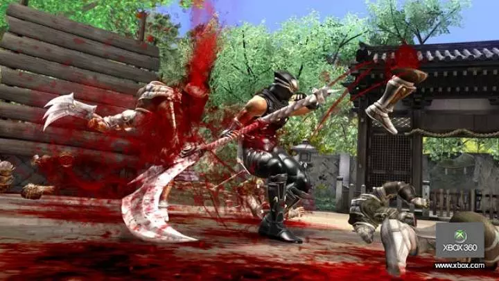Ninja Gaiden 2