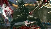 Ninja Gaiden 2: Vídeo del juego 5
